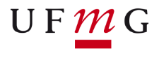 Universidade Federal de Minas Gerais